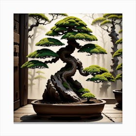 Bonsai Tree 10 Canvas Print