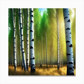 Birch Trees 26 Canvas Print