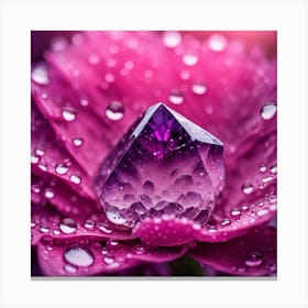 Water Drops On A Purple Flower Canvas Print