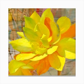 Yellow Lotus Canvas Print