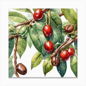 Coffee Tree 14 Canvas Print