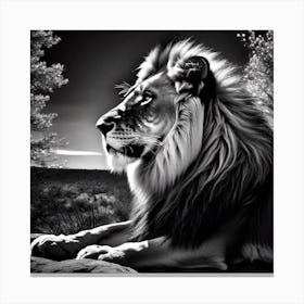 Lion In Black And White 8 Canvas Print
