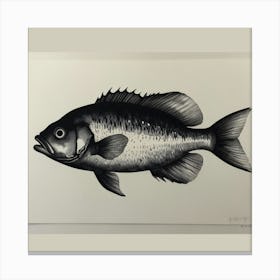 Bass Fish Canvas Print