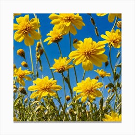 Yellow Flowers In A Field 5 Canvas Print