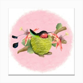 Hummingbird/Colibri Canvas Print