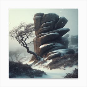 Rock And A Tree Canvas Print