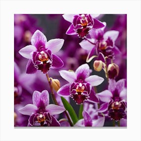 Purple Orchids 2 Canvas Print