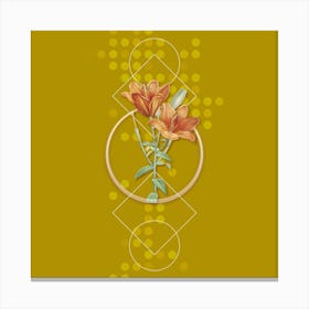 Vintage Orange Bulbous Lily Botanical with Geometric Line Motif and Dot Pattern n.0120 Canvas Print