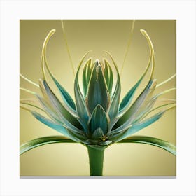 Air Plant 1 Canvas Print