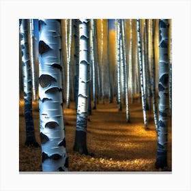 Birch Trees 66 Canvas Print