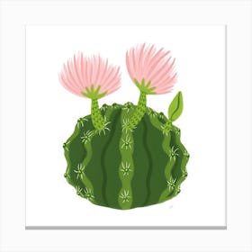 Cactus Flowers Square Canvas Print