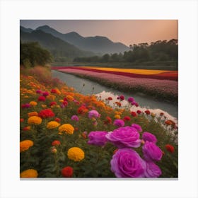 Korean Flower Field Canvas Print