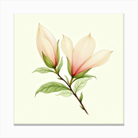 Flux Dev Delicate Magnolia Buds Rendered In Soft Dreamy Waterc 1 Stampe su tela