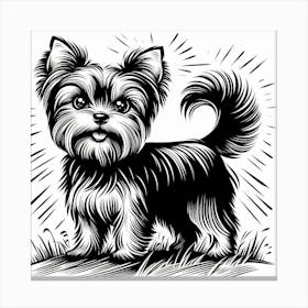 A yorkie dog 1 Canvas Print