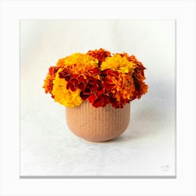 Marigold Flowers In A Cup 3 Canvas Print