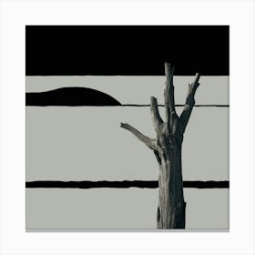 Lone Weathered Canvas Print
