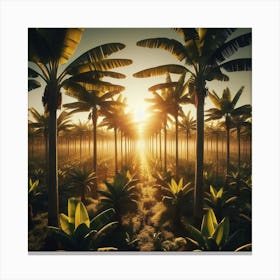 Banana plantation 1 Canvas Print