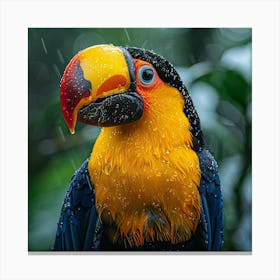 Toucan In The Rain 3 Canvas Print