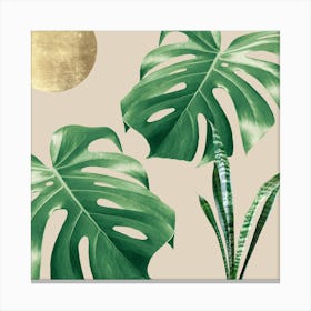 Botanical and tropical floral 3 Canvas Print