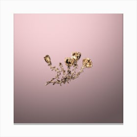Gold Botanical Gillies Purslane Flower Branch on Rose Quartz n.3080 Canvas Print