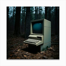 Default Retro Macintosh Desktop Computer Abandoned In The Wood 3 Canvas Print