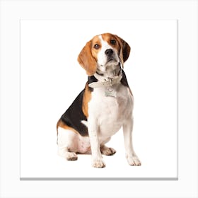 Beagle Canvas Print