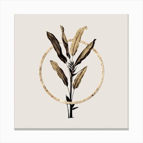 Gold Ring Parrot Heliconia Glitter Botanical Illustration Canvas Print