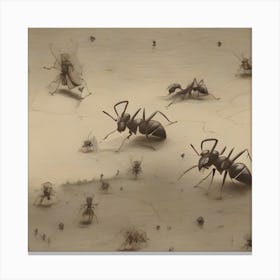 Ants 1 Canvas Print