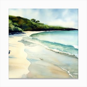 Galapagos Islands, Beach Canvas Print