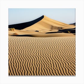 Dune de sable Canvas Print