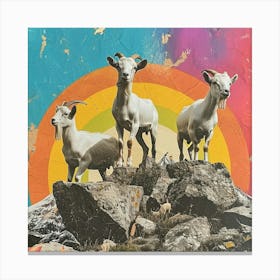 Mountain Goat Rainbow Collage 4 Canvas Print