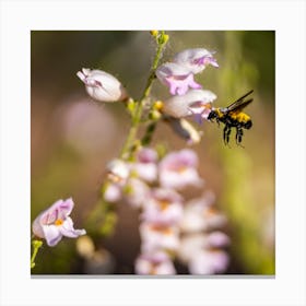 Frozen in Flight Canvas Print