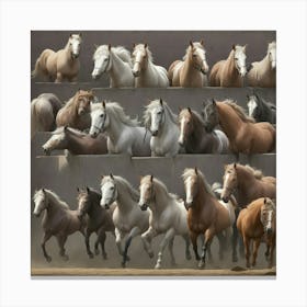 Horses In A Row Canvas Print