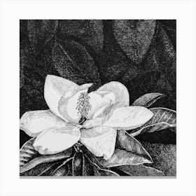 Rhododendron Canvas Print