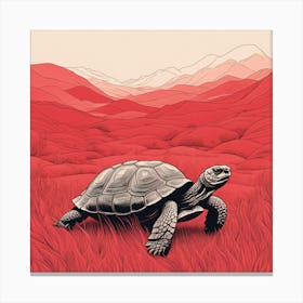 Turtle In The Desert Canvas Print