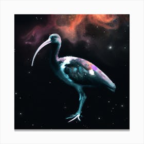 Ibis embraces eternity Canvas Print