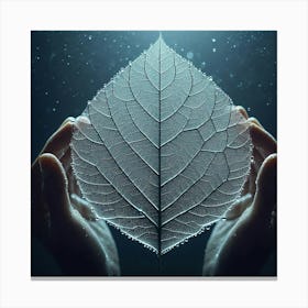 Leaf In Hands Canvas Print