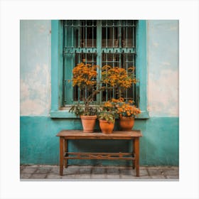 Potted Plants On A Bench Canvas Print