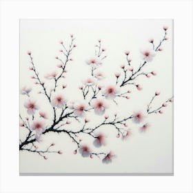 Cherry Blossoms Canvas Print