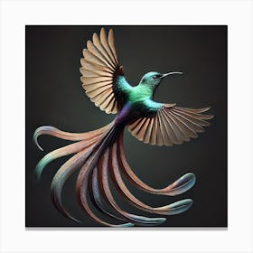 Hummingbird 34 Canvas Print