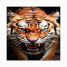 Angry Tiger 1 Canvas Print