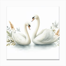 Swans 7 Canvas Print