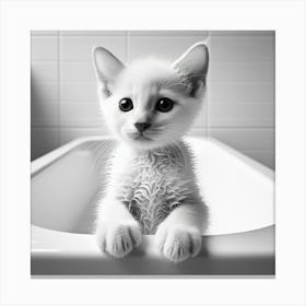 White Kitten In Bathtub Canvas Print