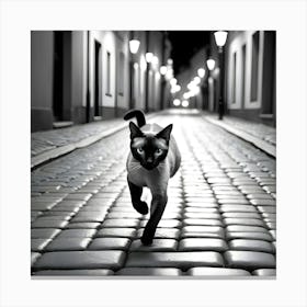 Siamese Cat Canvas Print