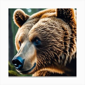 Brown Bear Canvas Print