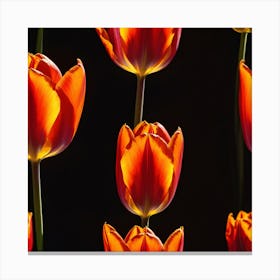 Tulips 1 Canvas Print