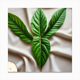 Avocado leaf Canvas Print