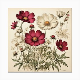 Cosmos Wildflower Vintage Botanical Art Print Canvas Print