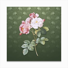 Vintage Pink Damask Rose Botanical on Lunar Green Pattern n.1326 Canvas Print