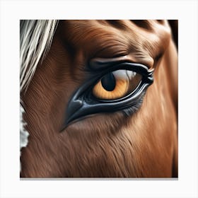 Eye Of A Horse 48 Canvas Print